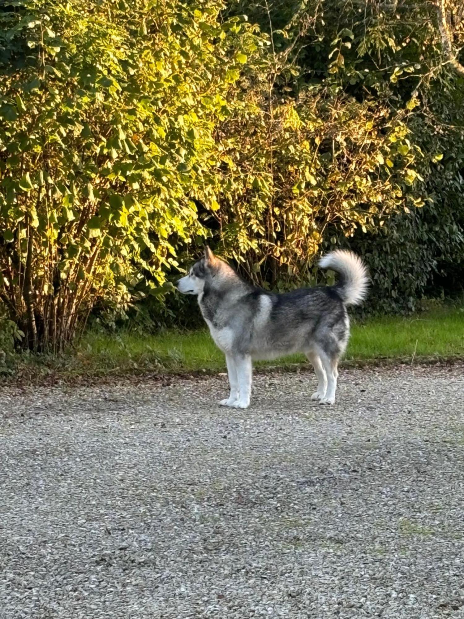 Lassay-sur-CroisneLoft Prive Proche Beauval Et Chambord别墅 外观 照片